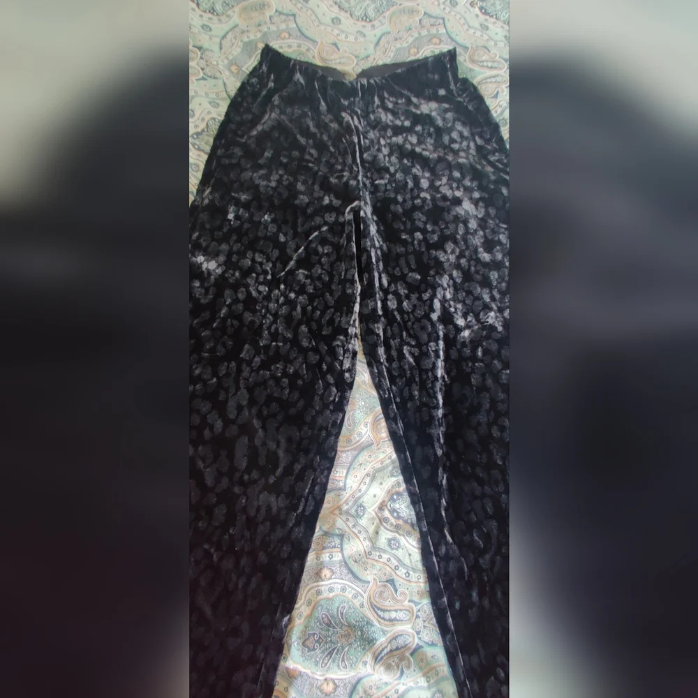 Zara Black Textured Velvet Pants - Picture 2 of 16